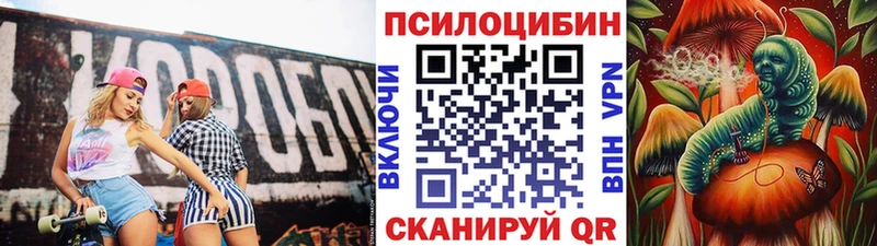 Псилоцибиновые грибы мицелий  Купить  Шали 