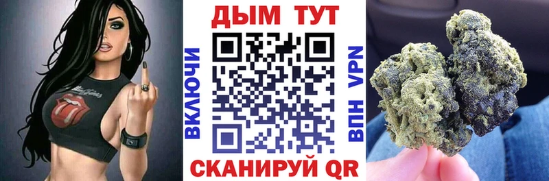 Каннабис план  Купить  Шали 